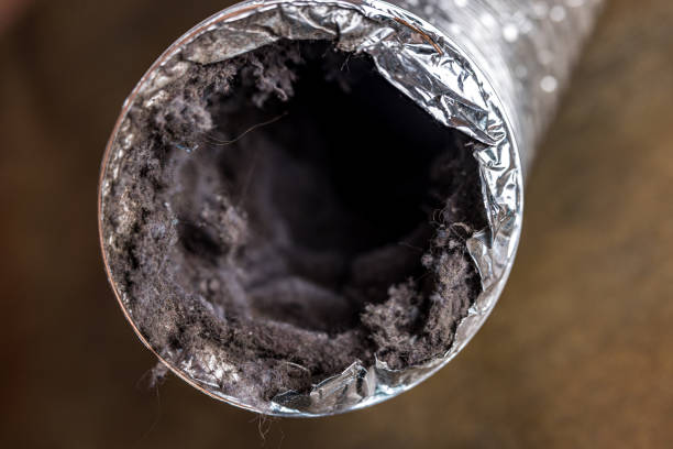 Best Professional Duct Cleaning Services  in Santa Maria, CA